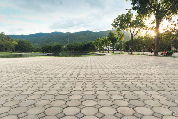 Best Driveway Paver Sealing  in Josephine, TX